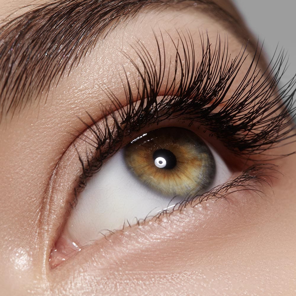 Express Eyelashes Online Kurz